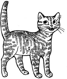 Иллюстрация к книге — Мир Налы [i_027.jpg]