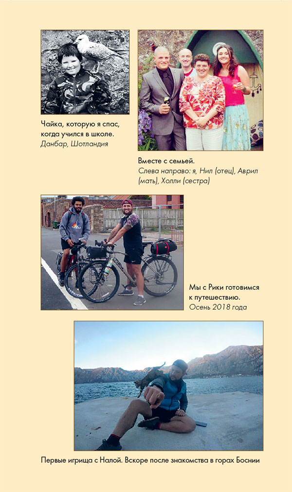 Иллюстрация к книге — Мир Налы [i_030.jpg]