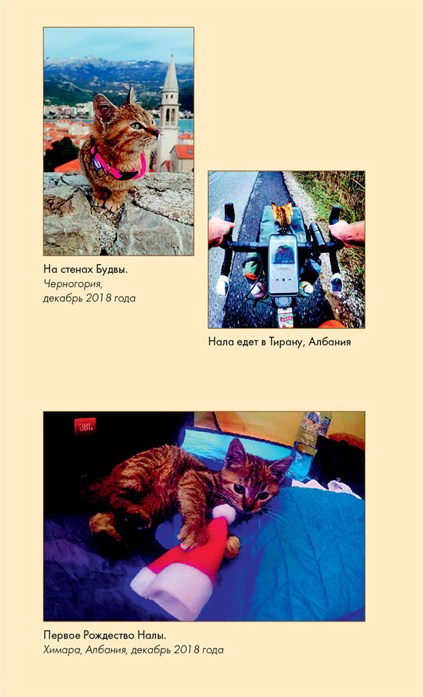 Иллюстрация к книге — Мир Налы [i_031.jpg]