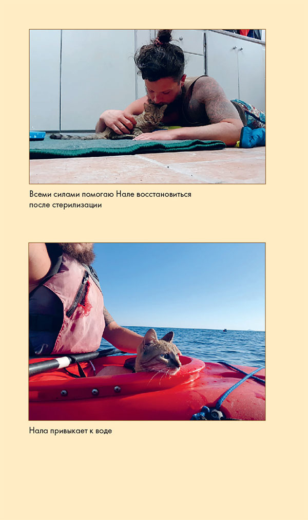 Иллюстрация к книге — Мир Налы [i_035.jpg]