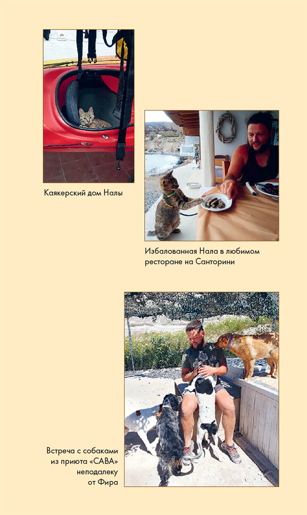 Иллюстрация к книге — Мир Налы [i_036.jpg]