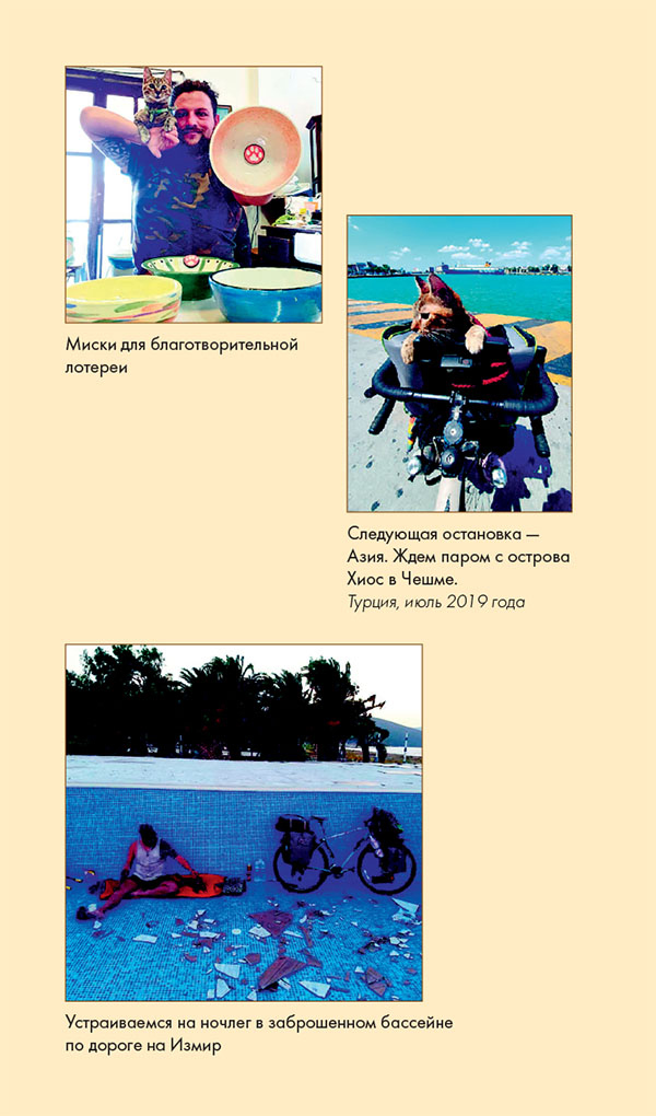 Иллюстрация к книге — Мир Налы [i_037.jpg]