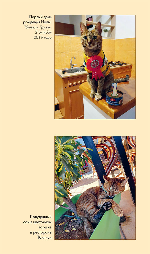 Иллюстрация к книге — Мир Налы [i_040.jpg]