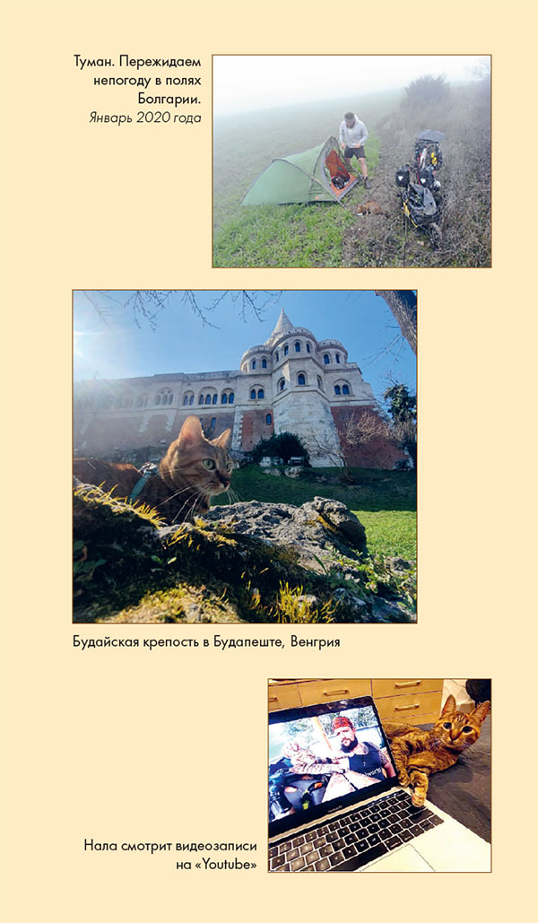 Иллюстрация к книге — Мир Налы [i_044.jpg]