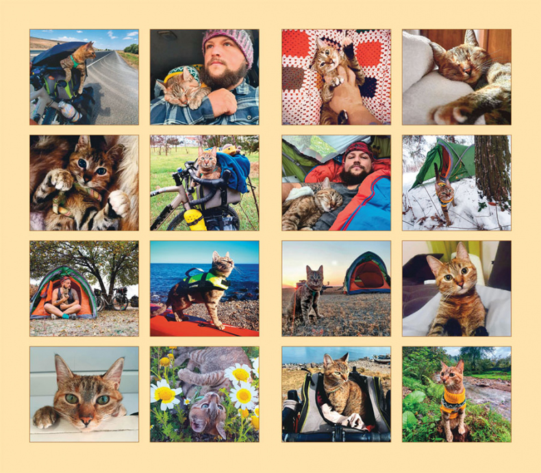 Иллюстрация к книге — Мир Налы [i_046.jpg]