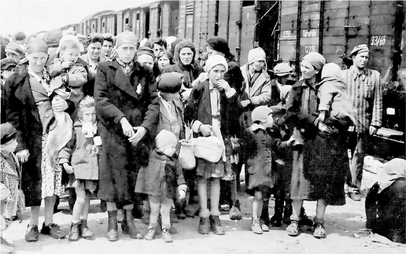 Иллюстрация к книге — Непокоренный. От чудом уцелевшего в Освенциме до легенды Уолл-стрит: выдающаяся история Зигберта Вильцига [i_003.jpg]