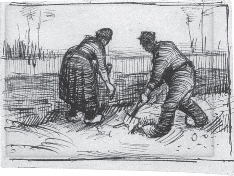 Иллюстрация к книге — Мечтавший о солнце. Письма 1883–1890 годов [i_008.jpg]