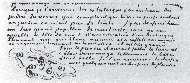 Иллюстрация к книге — Мечтавший о солнце. Письма 1883–1890 годов [i_053.jpg]