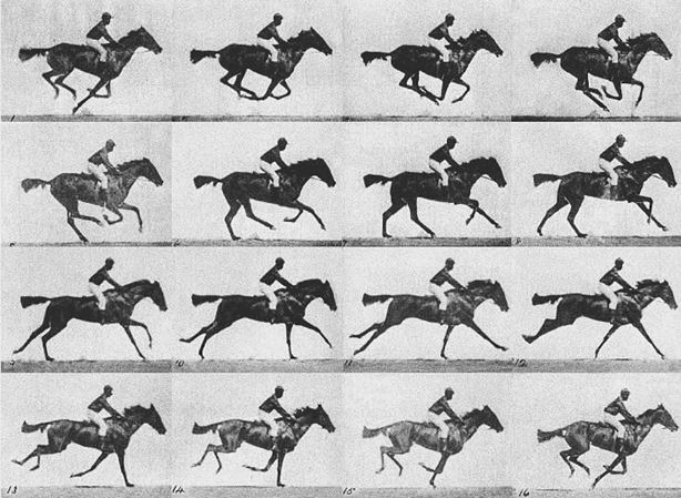 Иллюстрация к книге — Цифры не лгут. 71 факт, важный для понимания всего на свете [i_027.jpg]