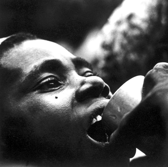 Иллюстрация к книге — Змей и Радуга. Удивительное путешествие гарвардского ученого в тайные общества гаитянского вуду, зомби и магии [i_010.jpg]