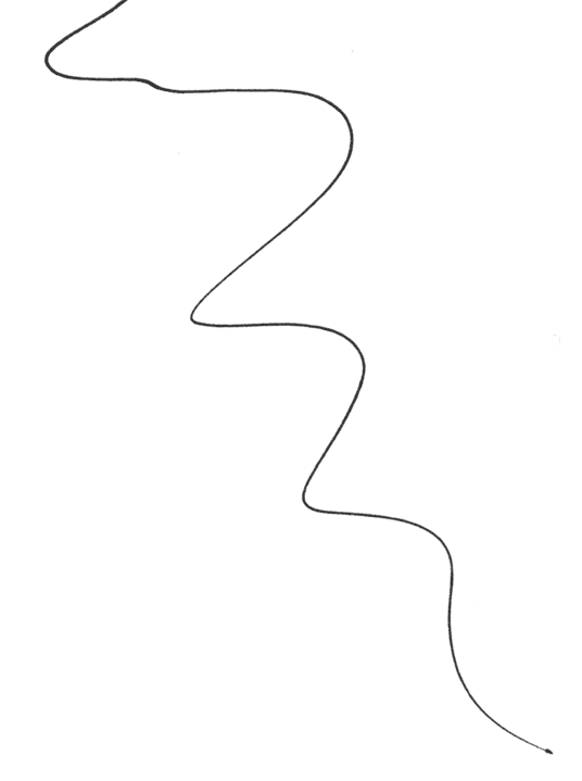 Иллюстрация к книге — Интуицио [i_004.jpg]