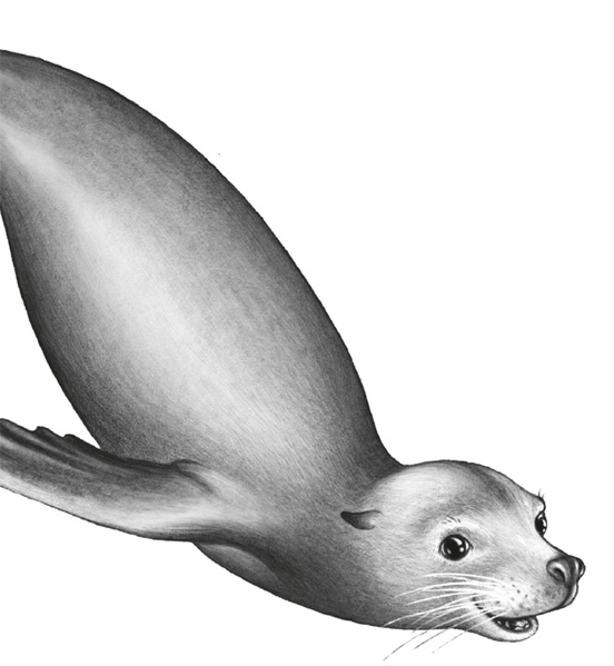 Иллюстрация к книге — Водный заговор [i_005.jpg]