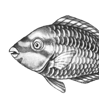 Иллюстрация к книге — Водный заговор [i_006.jpg]