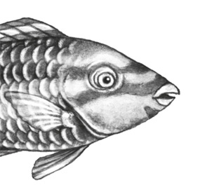 Иллюстрация к книге — Водный заговор [i_007.jpg]