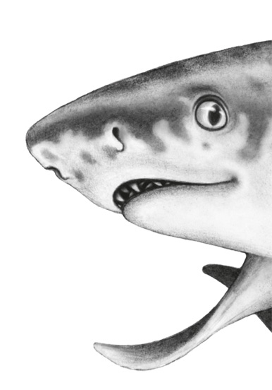 Иллюстрация к книге — Водный заговор [i_009.jpg]