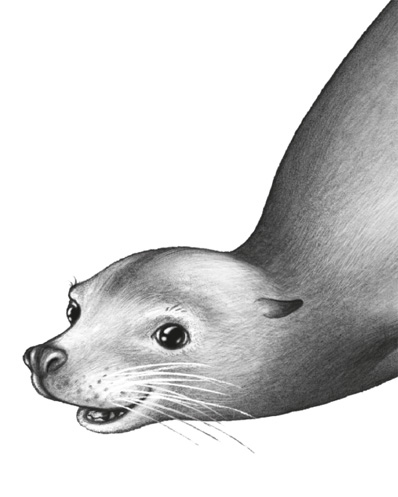 Иллюстрация к книге — Водный заговор [i_010.jpg]