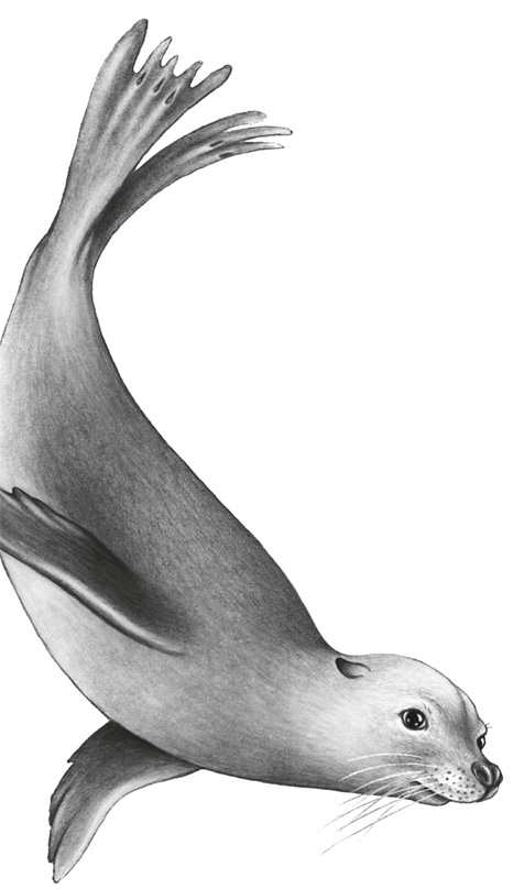 Иллюстрация к книге — Водный заговор [i_011.jpg]