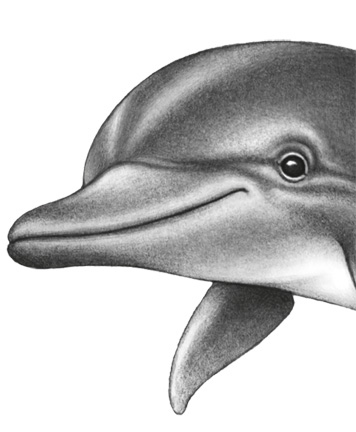 Иллюстрация к книге — Водный заговор [i_015.jpg]