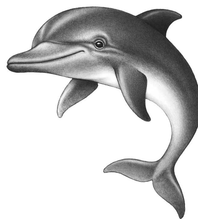 Иллюстрация к книге — Водный заговор [i_020.jpg]