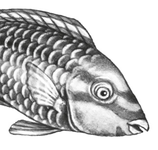 Иллюстрация к книге — Водный заговор [i_029.jpg]