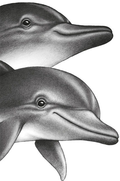 Иллюстрация к книге — Водный заговор [i_030.jpg]