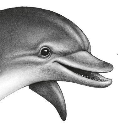 Иллюстрация к книге — Водный заговор [i_051.jpg]