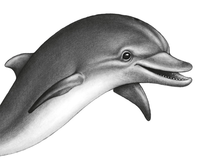 Иллюстрация к книге — Водный заговор [i_052.jpg]