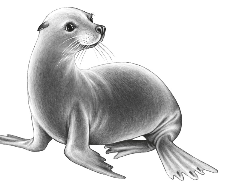 Иллюстрация к книге — Водный заговор [i_057.jpg]