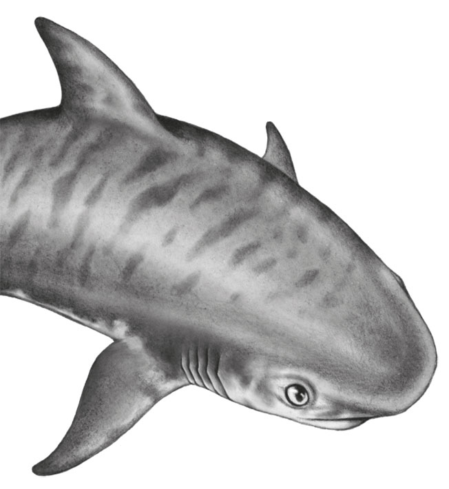 Иллюстрация к книге — Водный заговор [i_059.jpg]