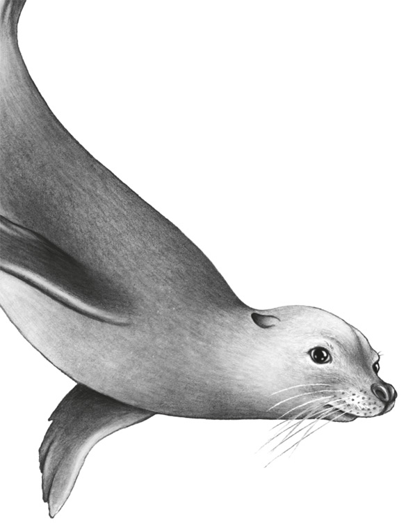 Иллюстрация к книге — Водный заговор [i_062.jpg]