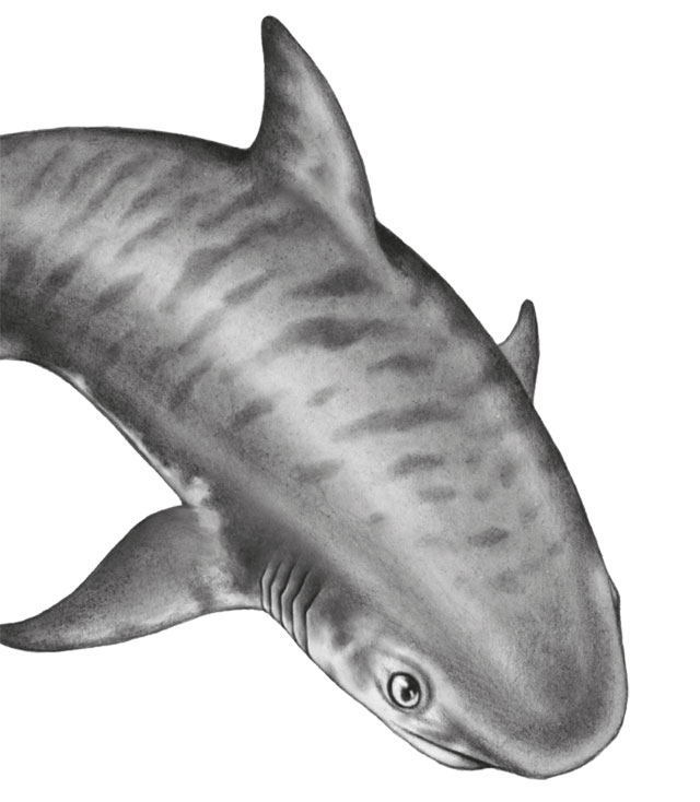 Иллюстрация к книге — Водный заговор [i_071.jpg]