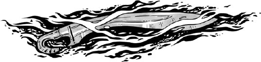 Иллюстрация к книге — Арканум. Заклинатели чудовищ [i_004.jpg]