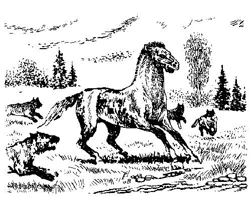 Иллюстрация к книге — Борьба за огонь [_10.jpg]