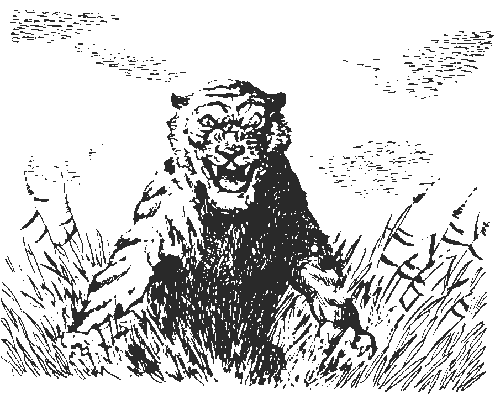 Иллюстрация к книге — Борьба за огонь [_11.jpg]