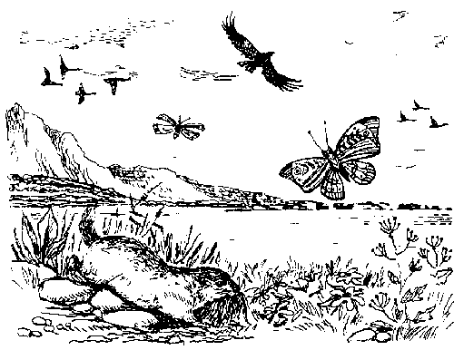 Иллюстрация к книге — Борьба за огонь [_15.jpg]