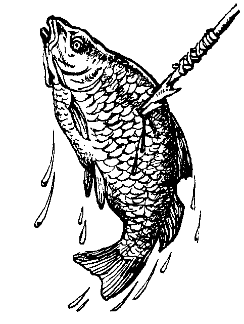 Иллюстрация к книге — Борьба за огонь [_25.jpg]