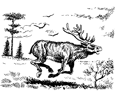 Иллюстрация к книге — Борьба за огонь [_8.jpg]