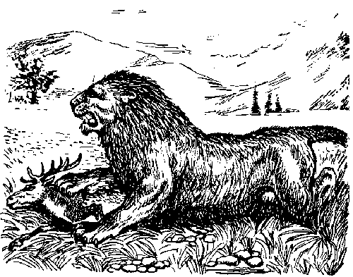 Иллюстрация к книге — Вамирэх [_62.jpg]