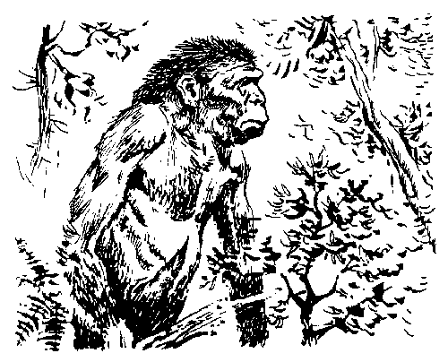 Иллюстрация к книге — Вамирэх [_65.jpg]