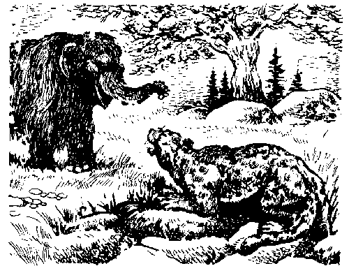 Иллюстрация к книге — Вамирэх [_72.jpg]