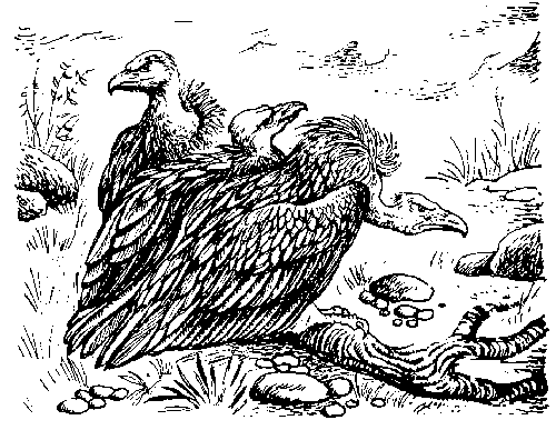 Иллюстрация к книге — Вамирэх [_73.jpg]