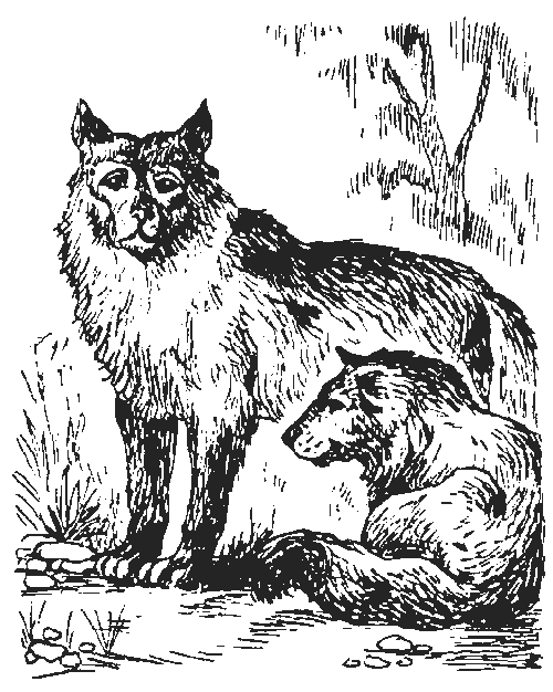 Иллюстрация к книге — Вамирэх [_75.jpg]