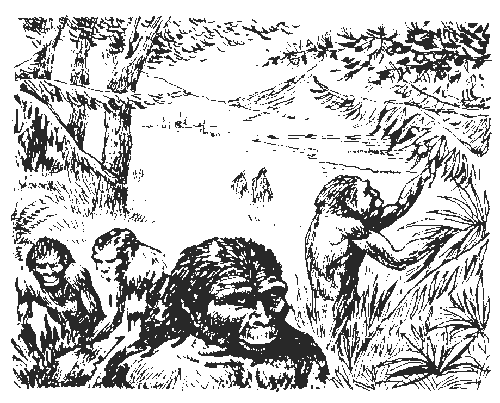 Иллюстрация к книге — Вамирэх [_80.jpg]