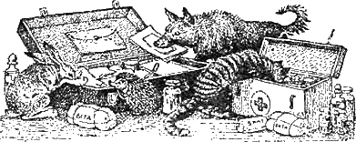 Иллюстрация к книге — Доктор Айболит [g12.jpg]