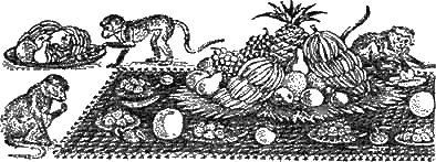 Иллюстрация к книге — Доктор Айболит [g23.jpg]