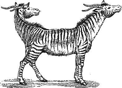 Иллюстрация к книге — Доктор Айболит [g24.jpg]