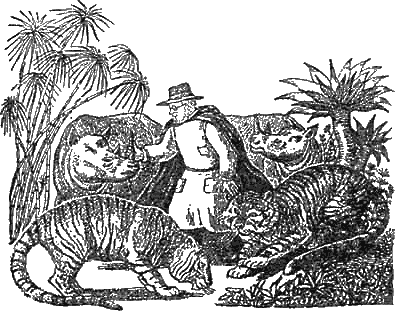 Иллюстрация к книге — Доктор Айболит [g27.jpg]