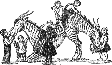 Иллюстрация к книге — Доктор Айболит [g32.jpg]