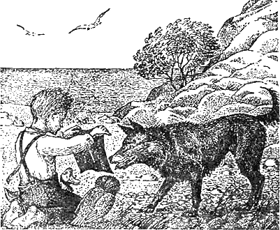 Иллюстрация к книге — Доктор Айболит [g40.jpg]