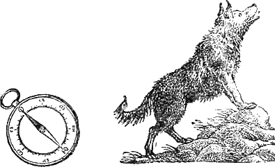 Иллюстрация к книге — Доктор Айболит [g41.jpg]